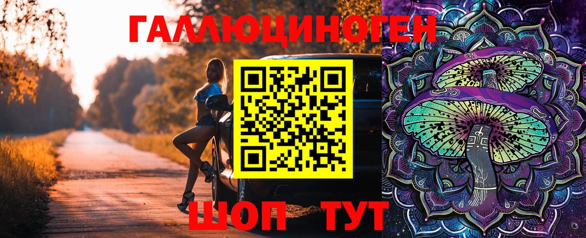 Галлюциногенные грибы Psilocybe Киреевск